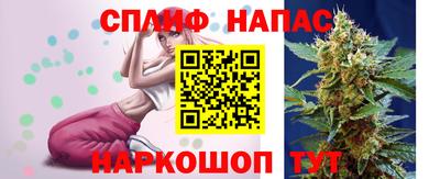 прущие грибы Пугачёв