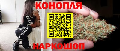 прущие грибы Пугачёв