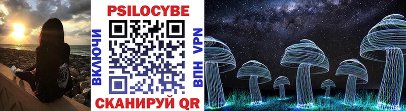 Псилоцибиновые грибы Psilocybine cubensis  Северодвинск 